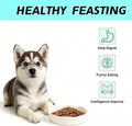 Pet Feeding Bowls, Ceramic Slow Feeder Dog Bowl - Heavy Weighted Blue Bloom Food Dish for Small to Medium Dogs - Non-Slip, Microwave & Dishwasher Safe Pottery Maze to Fast Eating (Milky White)