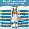 Dog and Cat Nasal Congestion Relief - Helps Relieve Sneezing, Trachea, Runny Nose & Nasal Congestion | Easy-to-Administe
