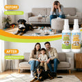 Norce Sactor Potty Training Spray for Dogs, Dog Pee Spray for Indoor & Outdoor Use | Not Spray & Spray | Supports Potty Training & Helps Deter Marking | Gentle Formula | 6.8 fl oz