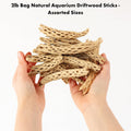 Koyal Wholesale Natural Cholla Wood Aquarium Branches, Airplants Decor, Reptile Perch, Untreated Cholla Wood Piece, Aqua