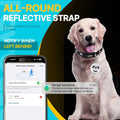 Dog Tracker-GPS Dog Collar-GPS Tracker for Dogs-Pet Tracker| Android and iOS Universal | No Monthly Fee | Waterproof | W