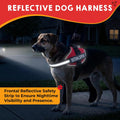 ESA Dog Vest Bundle with ID Tag and Informational Cards, Adjustable Emotional Support Dog Harness, S