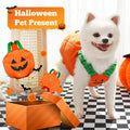 PETCARE Funny Pumpkin Dog Halloween Costume Pet Dog Cat Thick Plush Pumpkin Decoration Shirt Clothes for Small Medium Do