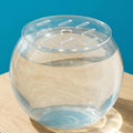 Round Clear Tank Lid - Round Aquarium Lid 3.94 Inch Tank Protective Cover - Replacement Accessories for Fish Bowl Terrar
