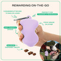 Springland Silicone Dog Training Treat Pouch for Leash