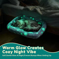 Bedside Cat Bed Attached to Human Bed with Glow in The Dark Stars