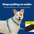 PetSafe 3 in 1 No-Pull Dog Harness - Walk, Train or Travel - Helps Prevent Pets from Pulling on Walks - Seatbelt Loop Do