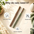 Maiguangta Natural Silvervine Catnip Chew Sticks (12 PC) - Edible Dental Chews for Cats & Kittens, Teething Relief Teeth Cleaning Toys
