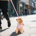 YKYUASD Dog Harness and Leash Set Adjustable Puppy Harness Mesh Vest Set Bow Knot Pet Clothes for Small Girl Dog Cat Summer (Pink, Small)