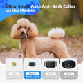 2026 Ultra-Small Bark Collar with Optional Shock, Vibration & Sound, Barking Record Collar for Small Dogs 5-15lbs, Only 
