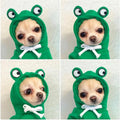 Warm Fleece Lined Dog Hoodie Winter Cute Coat Frog Costume