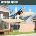 Sunhoo Cat Window Hammock Perch Cordless Perches Window Sill Seat Bed Foldable Stable Lounger Upgraded Suction Cup Easy 