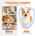 Quercetin Drops for Dogs & Cats, Allergy & Itch Relief, 2 fl oz