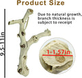 BNOSDM Reptile Branches, 9.5-11.4inch Snake Climbing Branch, Terrarium Wood Branch Decor, Bearded Dragon Tank Climbing A
