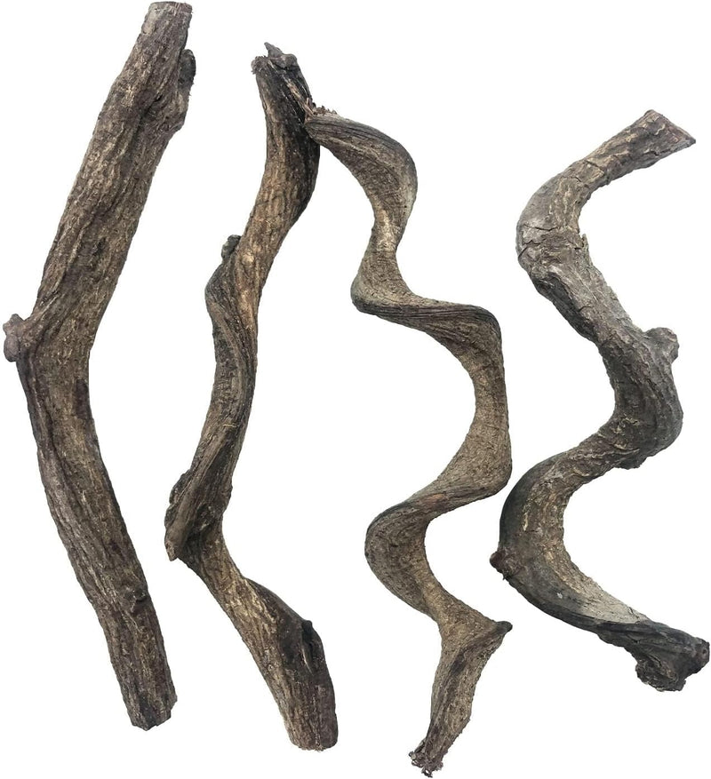 Reptile Decor 4PCS Natural Forest Branch Terrarium Habitat Wood Decoration Lizard Climbing Tree Branch for Bearded Drago