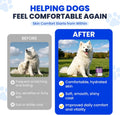Omega 3 Fish Oil for Dogs Dog Skin and Coat Supplement Shiny Coats Dog Skin Allergy Relief for Dogs Itching Reduce Shedding EPA & DHA Fatty Acids Salmon Oil Supplement 200 Ct