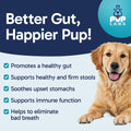 Pup Labs Tummy Essentials Probiotic Chews for Dogs, Supports Gut Health for Dogs and Firm Stools, Helps Eliminate Digest