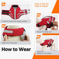 LeLePet Dog Life Jacket, High Flotation Swim Vest for Dogs