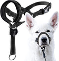 GoodBoy Dog Head Halter with Safety Strap - Stops Heavy Pulling On The Leash - Padded Headcollar for Small Medium and La