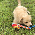 Dewonch Dog Fleece Rope Teaser Toy as Replacement to Chase and Tug (A-2PCS)