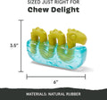 BarkBox Dogness Monster Super Chewer - Toy for Medium and Large Dogs