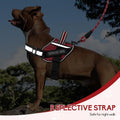 Service Dog Vest Harness and Leash Set, Animire in Training Dog Harness with 10 Dog Patches, Reflective Dog Leash with S