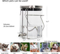 Guinea Pig Water Bottle No Drip, Rabbit Glass Waterer, Chinchilla Stainless Steel Nozzle Anti-Bite Water Dispenser for S
