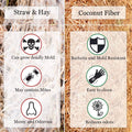 SunGrow Coco Fiber Hermit Crab & Reptile Carpet, Gecko Terrarium Liner, and Floor Bedding Substrate & Supplies, Climbing