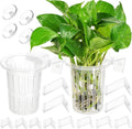 Borlech New Upgraded Large Aquarium Plant Holder with 1.57-inch Extension Hooks and Suction Cups for Fish Tank Aquaponic