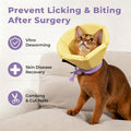 Cat Cone Collar Soft - Adjustable Recovery Collar for Cats & Small Dogs,Cute Waterproof E-Colar to Stop Licking & Scratc