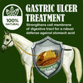 SBS Equine Starting Gate Granules - Horse Stomach Ulcer Treatment & Ulcer Relief, Horse Supplement Formula Scoop for Fee