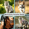 4 pcs Holder for airtag cat Collar, Silicone case for cat & Small Dog