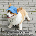 Dog Baseball Cap,Pet Summer Beach Hat,Dog Cat Sunbonnet Cap with Ear Holes,Adjustable Cat Visor for Small Medium Large Dogs (Blue, Medium)