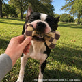 Haute Diggity Dog Chewy Vuiton Bone Plush Squeaky Dog Toy, Soft Durable Designer-Inspired Stuffed Puppy Chew Toys for Small & Medium Dogs, Machine-Washable (Tan Checker) Small