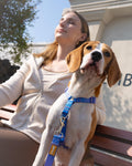 DF Freedom No Pull Martingale Dog Harness, Gentle Control for No Choking, Front Clip Harness with Reflective, Adjustable