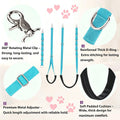 Dog Grooming Belly Straps Sky Blue Pet Grooming Supplies 3 Sets Professional Dogs Belly Band Pet Dogs Groomer Extension Strap Table Arm Loop Extender for Small Medium Large Pets (Sky Blue)