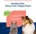 NaturVet – Brewer’s Dried Yeast Formula with Garlic Flavoring – Plus Omegas | Rich in Omega-3, 6 & 9 Fatty Acids | Fortified with B1, B2, Niacin & Vitamin C | for Dogs & Cats | 1000 Chewable Tablets