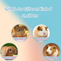 Guinea Pig Water Bottle No Drip, Plastic Hamster Water Bottle with Suspension Clamp, Hamster Cage Accessories Hanging (B