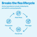 Amazon Basics Flea, Tick & Mosquito Topical Treatment & Prevention for Medium Dogs (11-20 pounds), Fast-Acting, Kills Fleas, Eggs & Larvae, 30 Day Protection, 6 Count, Packaging May Vary