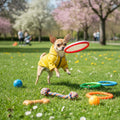 Dog Raincoat rain Jacket Raincoat Dogs Waterproof Small Medium Breeds Zip Closure Storage Pocket Harness Hole