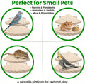 2 Pcs Flat Perches for Bird Cages Flat Bird Perch Platform Birds Perch Birds Cages Accessories Fan Shape for Parakeet Conure Cockatiel Budgie Rat Chinchilla Gerbil Hamster (2 Size)