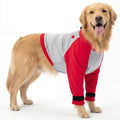SlowTon Dog Recovery Suit - Padded Elbow Protector, Dog Leg Sleeve to Stop Licking & Protect Wounds After Surgery, Breathable Pet Long Sleeve Shirt Front Leg Protection Cone Alternative (Red,2XL)