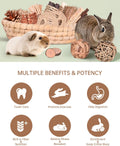 31PCS Rabbit Chew Treat Toys for Teeth Health, Natural Bunny Enrichment Toys for Boredom & Stress Relief, Keep Busy Toys