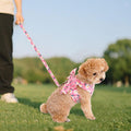 YKYUASD Dog Harness and Leash Set Adjustable Puppy Harness Mesh Vest Set Bow Knot Pet Clothes for Small Girl Dog Cat Summer (Pink, Small)