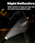 Martingale Dog Collar with Chain, Reflective Nylon Adjustable Collar, S
