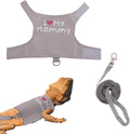Bearded Dragon Leash and Harness Set, Cute Adjustable Lizard Reptile Harness Costume Clothes with Short Leash for Small 