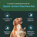 VetriScience Quick Action Diarrhea Aid Paste, Unflavored, 60 cc