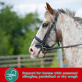 Stop Cough Horse Supplements Powder, Supports Horses with Stable Coughs, Respiratory Allergies, Free Seasonal Allergies,