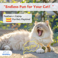 MemeMeow Catnip-Infused Plush Cat Toys, 2-in-1 Pack