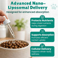 NAD+ Drops for Dogs, Dog Longevity Supplement with NMN & Resveratrol, 2 oz